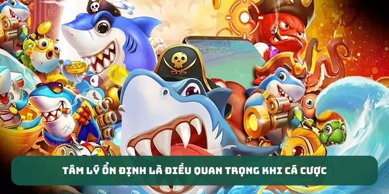 Tâm lý ổn định là điều quan trọng khi cá cược